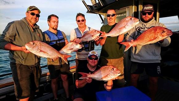 Picture of Fishing Trip with Snap Fishing Ventures - Auckland