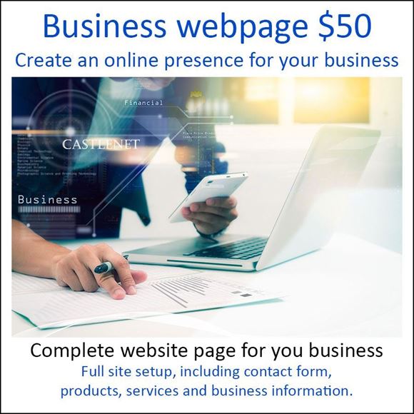 Picture of Business Webpage T$50