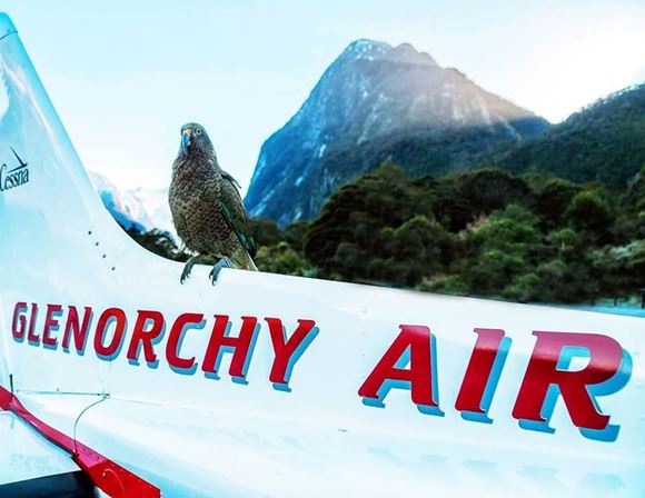 Picture of Milford Sound Landing Flight - Adult