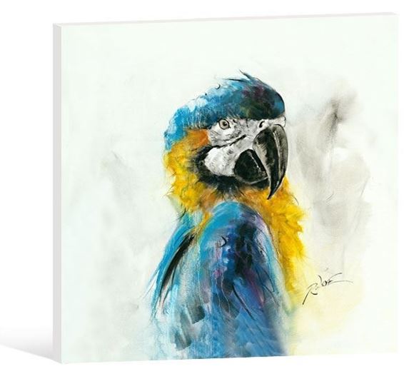 Picture of KAHW0028 - Oil Painting 50x50 Blue Parrot SML