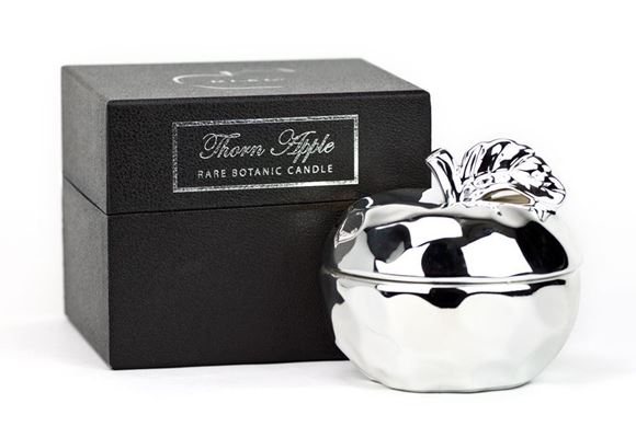 Picture of DL2122 -  LARGE APPLE - SILVER CANDLE