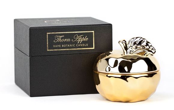 Picture of DL2123 - LARGE APPLE - GOLD CANDLE