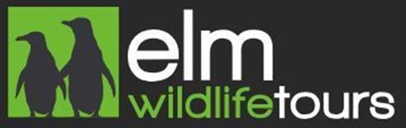 Picture of Elm Wildlife Tours