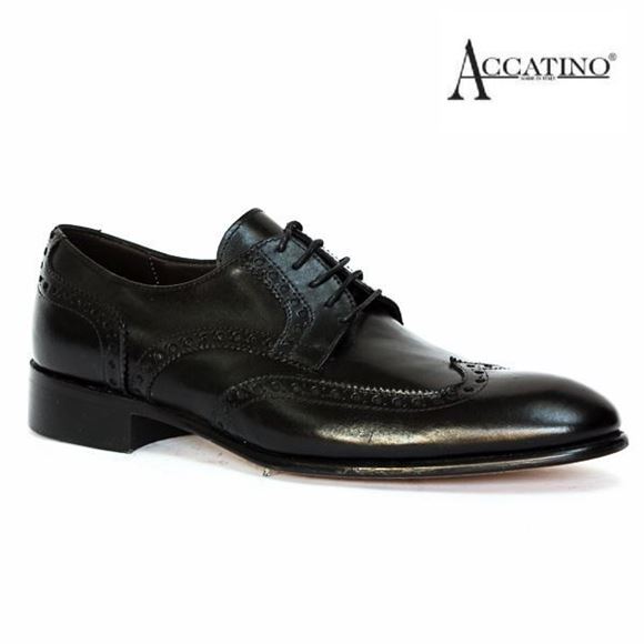 Picture of Accatino 09