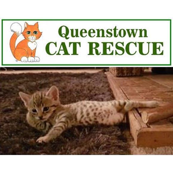Picture of Donate to Queenstown Cat Rescue