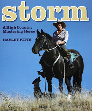 Picture of Storm - A High Country Mustering Horse by Hayley Pitts