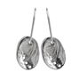 Picture of Baby Paua Earrings Silver Collection