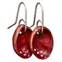 Picture of Baby Paua Earrings Copper Collection