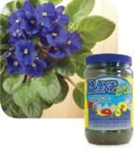 Picture of PLANTBLAST Slow Release Plant Food