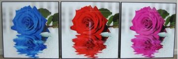 Picture of Set of 3 Floral Pictures - Glass Cover