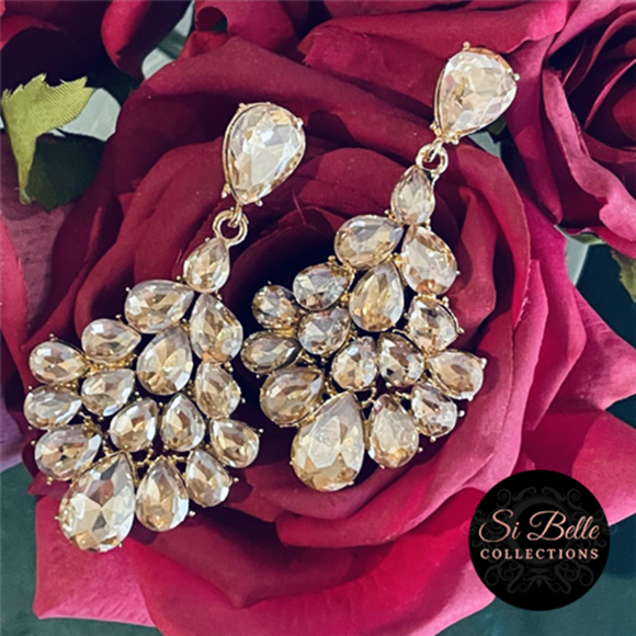 Picture of Si Belle Collections - Higher Love Collection - Champagne Dreams Earrings - Delivery Included