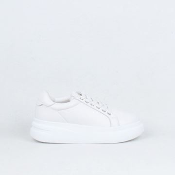 Picture of Bailey Sneaker - White