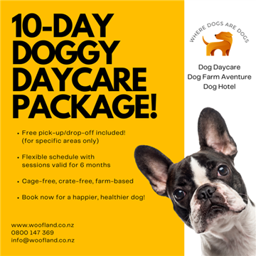 Picture of 10-Day Doggy Daycare Package - Unleash the Fun!