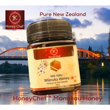 Picture of Honey Chef MGO500+ Manuka Honey 250gm - 12 Jars