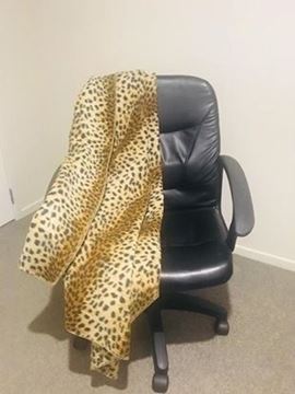 Picture of Leopard Blanket