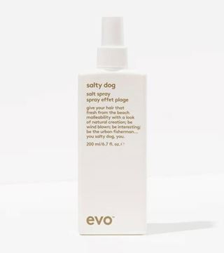 Picture of Evo Salty dog Salt Spray - 200ml