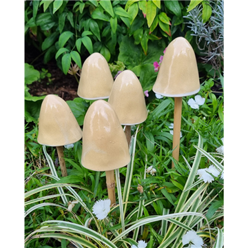 Picture of Set of 5 Toadstools