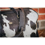 Picture of Cowhide overnight bag (Black)